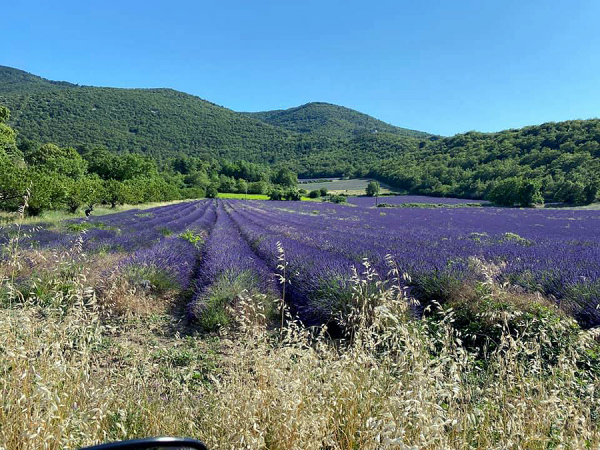 09.-12.07.2021 - 999 Km Cabannes_67
