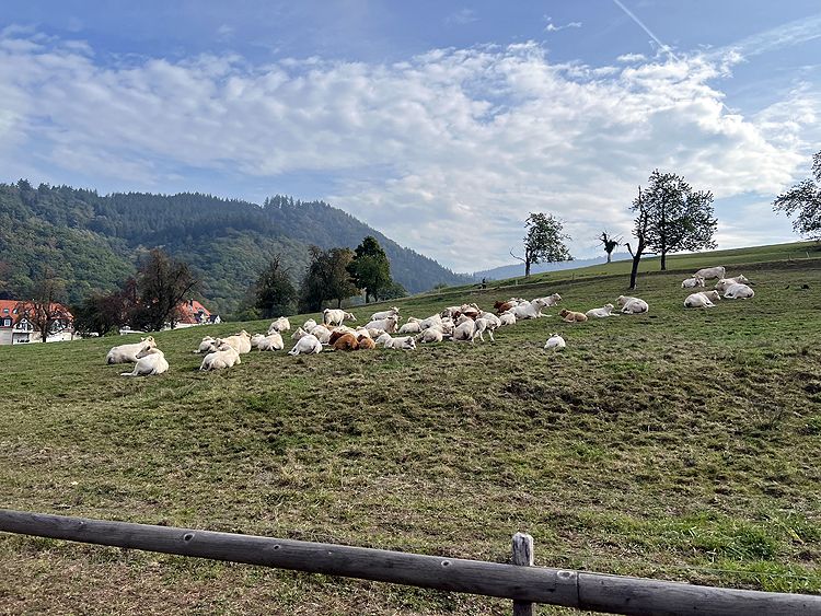 Schlussfahrt_0410_058