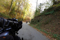 Kurvenswing im Herbst Kurvenswing im Herbst