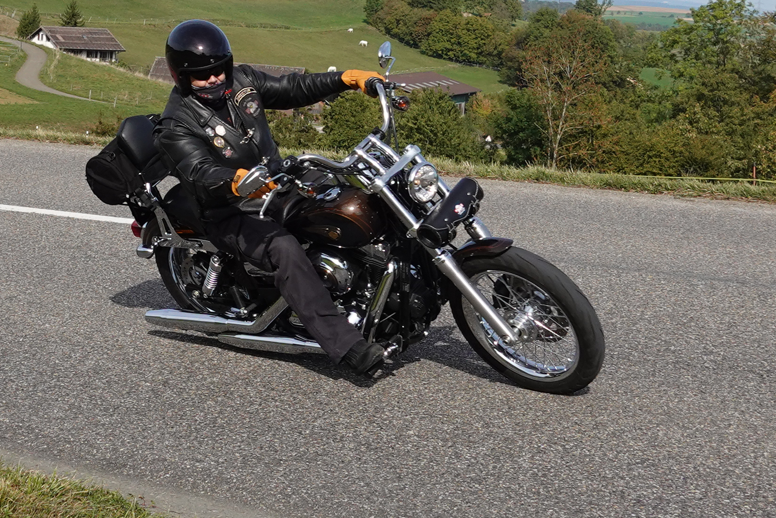LX Dyna